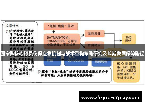国家队核心球员伤停应急机制与战术重构策略研究及长期发展保障路径